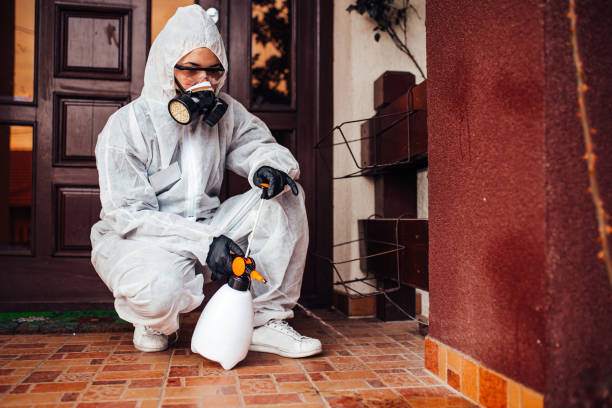 Reliable Mosquito Control contractor in Riverview, SC by Show Me Pest Control